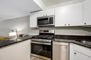 230 E Ontario St, Chicago, IL 60611 - Photo 5