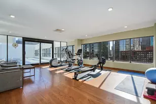 230 E Ontario St, Chicago, IL 60611 - Photo 17