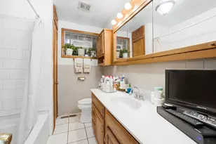 9748 S Van Vlissingen Rd, Chicago, IL 60617 - Photo 51