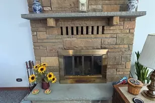 151 Rose Tree Ln, Lindenhurst, IL 60046 - Photo 17