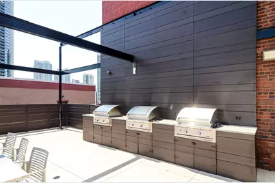 411 W Ontario Street #312, Chicago, IL 60654 - Photo 27