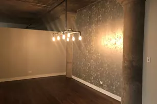 411 W Ontario St, Chicago, IL 60654 - Photo 9