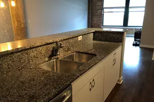 411 W Ontario St, Chicago, IL 60654 - Photo 5