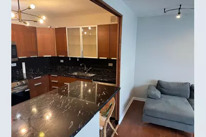 6301 N Sheridan Road #23N, Chicago, IL 60660 - Photo 9