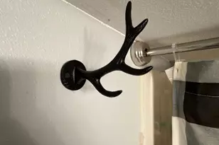 2878 Lazy Acre Rd, Odin, IL 62870 - Photo 19