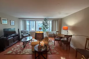 211 E Ohio St, Chicago, IL 60611 - Photo 11