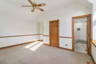 9 Silo Ridge Rd, Orland Park, IL 60467 - Photo 33