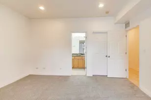 2615 S Lowe Ave, Chicago, IL 60616 - Photo 15