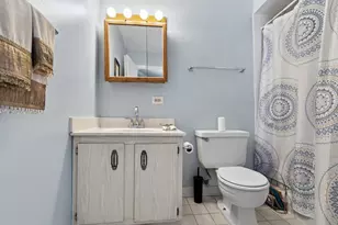 7333 Grand Ave, Downers Grove, IL 60516 - Photo 11