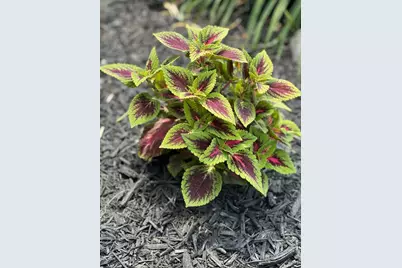 6711 Glenmoor Court, McHenry, IL 60050 - Photo 43