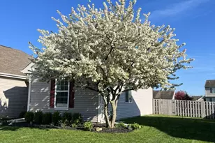 6711 Glenmoor Ct, McHenry, IL 60050 - Photo 39