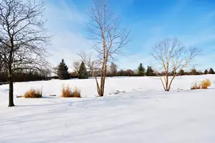 23 Red Tail Dr, Hawthorn Woods, IL 60047 - Photo 35