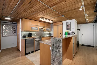 411 W Ontario Street #102, Chicago, IL 60654 - Photo 11