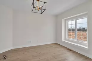 8850 Baileys Hbr Dr, Frankfort, IL 60423 - Photo 23