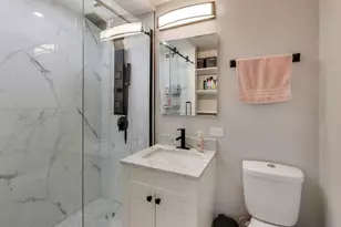 1255 N Sandburg Terrace, Chicago, IL 60610 - Photo 13