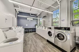 1255 N Sandburg Terrace, Chicago, IL 60610 - Photo 15