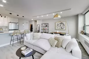 1255 N Sandburg Terrace, Chicago, IL 60610 - Photo 5