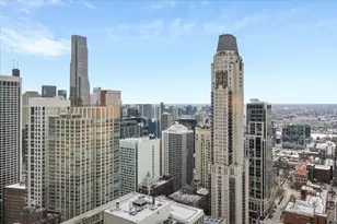 950 N Michigan Ave, Chicago, IL 60611 - Photo 21