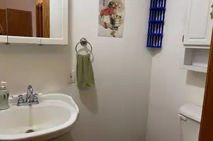 14068 N 400th Ave, McNabb, IL 61335 - Photo 13