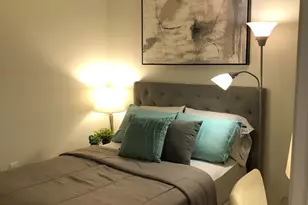 233 E 13th St, Chicago, IL 60605 - Photo 17