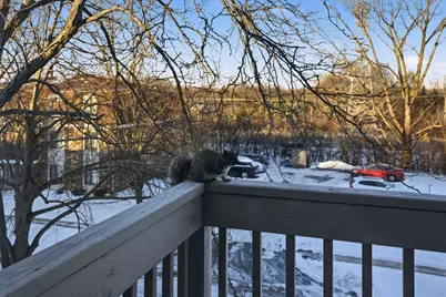 209 W Court Of Shorewood #3A, Vernon Hills, IL 60061 - Photo 21