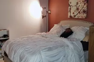 1550 S Indiana Ave, Chicago, IL 60605 - Photo 7