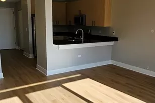 1155 W Madison St, Chicago, IL 60607 - Photo 5