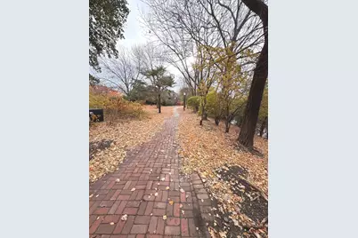 3329 S Racine Avenue, Chicago, IL 60608 - Photo 31