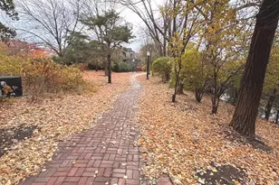 3329 S Racine Ave, Chicago, IL 60608 - Photo 31