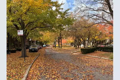 3329 S Racine Avenue, Chicago, IL 60608 - Photo 19