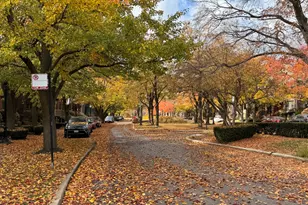 3329 S Racine Ave, Chicago, IL 60608 - Photo 19