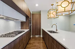 3914 S King Dr, Chicago, IL 60653 - Photo 17