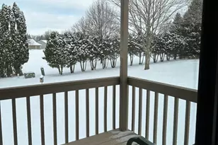 704 Brynnwood Ln, Lena, IL 61048 - Photo 43