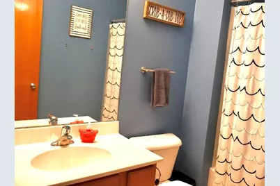 230 E Big Timber Drive, Coal City, IL 60416 - Photo 31