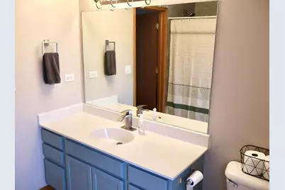 230 E Big Timber Drive, Coal City, IL 60416 - Photo 21