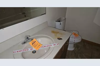 956 Auburn Lane, Orangeville, IL 62939 - Photo 19