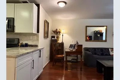 21 W Goethe Street #2A, Chicago, IL 60610 - Photo 7