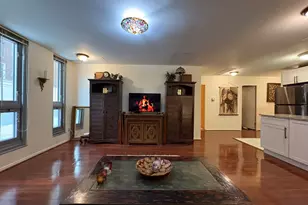 21 W Goethe St, Chicago, IL 60610 - Photo 5