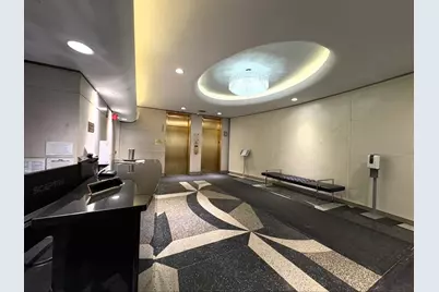 21 W Goethe Street #2A, Chicago, IL 60610 - Photo 25