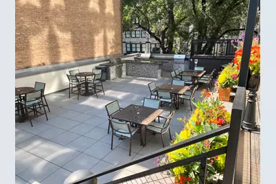 21 W Goethe Street #2A, Chicago, IL 60610 - Photo 43