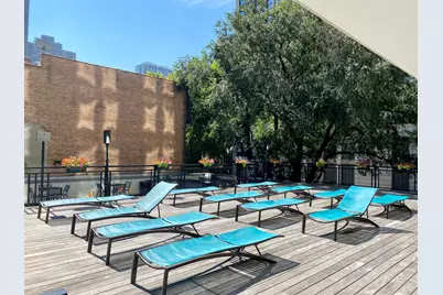 21 W Goethe Street #2A, Chicago, IL 60610 - Photo 47