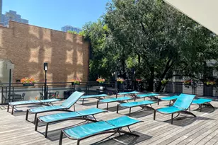 21 W Goethe St, Chicago, IL 60610 - Photo 47