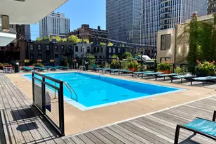 21 W Goethe St, Chicago, IL 60610 - Photo 43