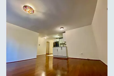 21 W Goethe Street #2A, Chicago, IL 60610 - Photo 7
