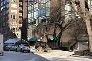 21 W Goethe St, Chicago, IL 60610 - Photo 49