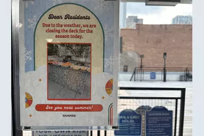 21 W Goethe Street #2A, Chicago, IL 60610 - Photo 37