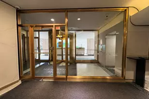 21 W Goethe St, Chicago, IL 60610 - Photo 29