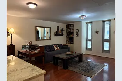 21 W Goethe Street #2A, Chicago, IL 60610 - Photo 5