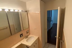 21 W Goethe St, Chicago, IL 60610 - Photo 19