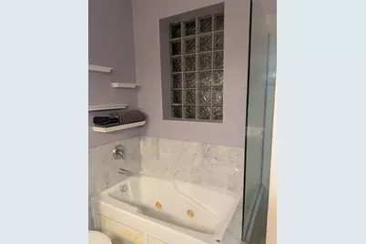 435 E 42nd Street #1, Chicago, IL 60653 - Photo 13